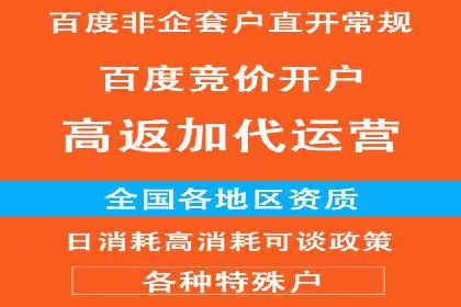 百度竞价广告投放的ROI优化：经典案例分享